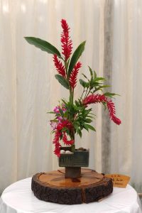 WhatsApp Image 2022-02-07 at 14.28.50